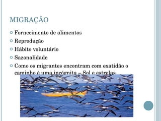 MIGRAÇÃO Fornecimento de alimentos Reprodução Hábito voluntário Sazonalidade Como os migrantes encontram com exatidão o caminho é uma incógnita – Sol e estrelas 