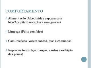 COMPORTAMENTO Alimentação (Alcedinidae captura com bico/Accipitridae captura com garras) Limpeza (Feito com bico) Comunicação (vozes: cantos, pios e chamados) Reprodução (cortejo: danças, cantos e exibição das penas)  