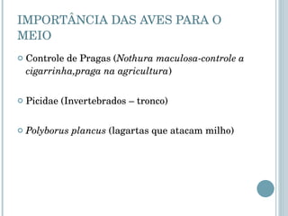 IMPORTÂNCIA DAS AVES PARA O MEIO Controle de Pragas ( Nothura maculosa-controle a cigarrinha,praga na agricultura ) Picidae (Invertebrados – tronco) Polyborus plancus  (lagartas que atacam milho) 