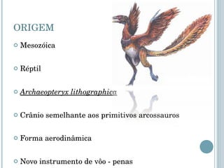 ORIGEM Mesozóica Réptil Archaeopteryx lithographica Crânio semelhante aos primitivos arcossauros Forma aerodinâmica Novo instrumento de vôo - penas 