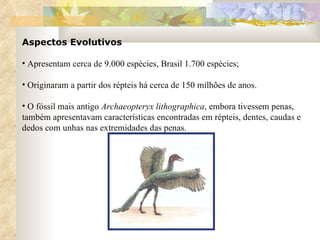 Aspectos Evolutivos Apresentam cerca de 9.000 espécies, Brasil 1.700 espécies; Originaram a partir dos répteis há cerca de 150 milhões de anos. O fóssil mais antigo  Archaeopteryx lithographica , embora tivessem penas, também apresentavam características encontradas em répteis, dentes, caudas e dedos com unhas nas extremidades das penas. 