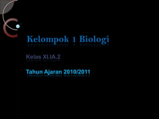 Kelompok 1 Biologi Kelas XI.IA.2 TahunAjaran 2010/2011  
