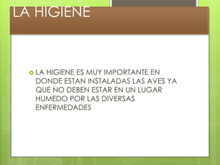 LA HIGIENE


   LA
     HIGIENE ES MUY IMPORTANTE EN
   DONDE ESTAN INSTALADAS LAS AVES YA
   QUE NO DEBEN ESTAR EN UN LUGAR
   HUMEDO POR LAS DIVERSAS
   ENFERMEDADES
 