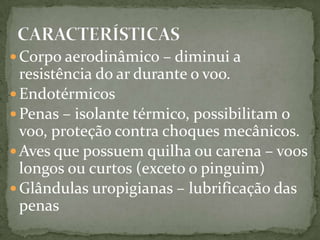  Corpo aerodinâmico – diminui a
resistência do ar durante o voo.
Endotérmicos
Penas – isolante térmico, possibilitam o
voo, proteção contra choques mecânicos.
Aves que possuem quilha ou carena – voos
longos ou curtos (exceto o pinguim)
Glândulas uropigianas – lubrificação das
penas