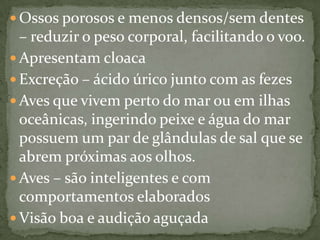  Ossos porosos e menos densos/sem dentes
– reduzir o peso corporal, facilitando o voo.
Apresentam cloaca
Excreção – ácido úrico junto com as fezes
Aves que vivem perto do mar ou em ilhas
oceânicas, ingerindo peixe e água do mar
possuem um par de glândulas de sal que se
abrem próximas aos olhos.
Aves – são inteligentes e com
comportamentos elaborados
Visão boa e audição aguçada