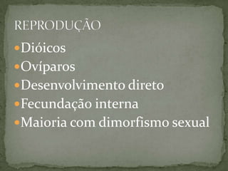 Dióicos
Ovíparos
Desenvolvimento direto
Fecundação interna
Maioria com dimorfismo sexual