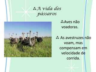 A vida dos
 pássaros
          Aves não
          voadoras.

         As avestruzes não
            voam, mas
         compensam em
          velocidade de
              corrida.
 