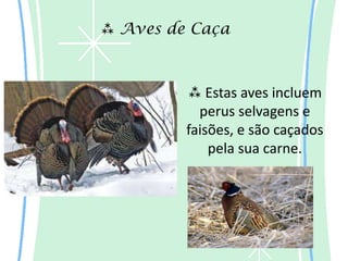  Aves de Caça



          Estas aves incluem
           perus selvagens e
         faisões, e são caçados
             pela sua carne.
 