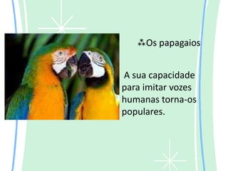 Os papagaios


A sua capacidade
para imitar vozes
humanas torna-os
populares.
 