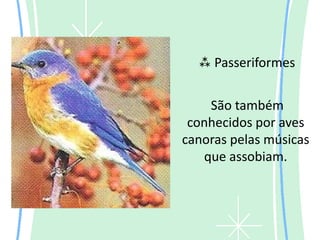  Passeriformes


    São também
 conhecidos por aves
canoras pelas músicas
   que assobiam.
 
