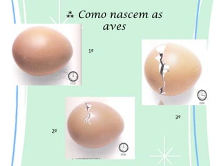 Como nascem as
          aves

        1º




                        3º

2º
 