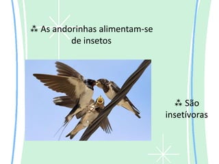  As andorinhas alimentam-se
         de insetos




                                  São
                               insetívoras
 