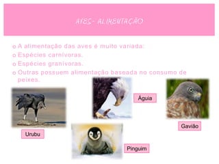 AVES- ALIMENTAÇÃO

o A alimentação das aves é muito variada:
o Espécies carnívoras.
o Espécies granívoras.
o Outras possuem alimentação baseada no consumo de
  peixes.


                                    Águia




                                                Gavião
   Urubu

                                Pinguim
 