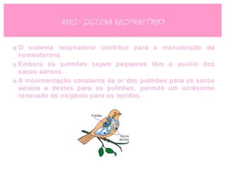 AVES- SISTEMA RESPIRATÓRIO

o O sistema respiratório contribui para a manutenção da
  homeotermia.
o Embora os pulmões sejam pequenos têm o auxilio dos
  sacos aéreos.
o A movimentação constante de ar dos pulmões para os sacos
  aéreos e destes para os pulmões, permite um acréscimo
  renovado de oxigênio para os tecidos.
 