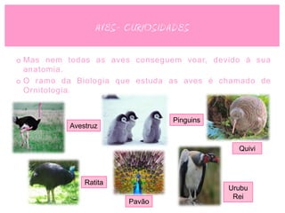 AVES- CURIOSIDADES

o Mas nem todas as aves conseguem voar, devido á sua
  anatomia.
o O ramo da Biologia que estuda as aves é chamado de
  Ornitologia.


                                Pinguins
          Avestruz


                                             Quivi



              Ratita
                                           Urubu
                                            Rei
                       Pavão
 