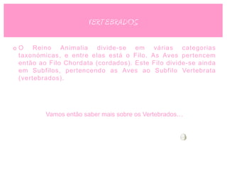 VERTEBRADOS

o O Reino Animalia divide-se em várias categorias
  taxonómicas, e entre elas está o Filo. As Aves pertencem
  então ao Filo Chordata (cordados). Este Filo divide-se ainda
  em Subfilos, pertencendo as Aves ao Subfilo Vertebrata
  (vertebrados).




          Vamos então saber mais sobre os Vertebrados…
 