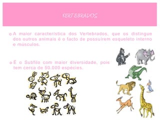 VERTEBRADOS

o A maior característica dos Vertebrados, que os distingue
  dos outros animais é o facto de possuírem esqueleto interno
  e músculos.



o É o Subfilo com maior diversidade, pois
  tem cerca de 50.000 espécies.
 
