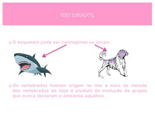 VERTEBRADOS


o O esqueleto pode ser cartilagíneo ou ósseo.




o Os vertebrados tiveram origem no mar e mais de metade
  dos vertebrados de hoje é produto da evolução de grupos
  que nunca deixaram o ambiente aquático.
 