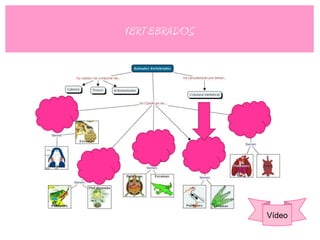 VERTEBRADOS




              Vídeo
 