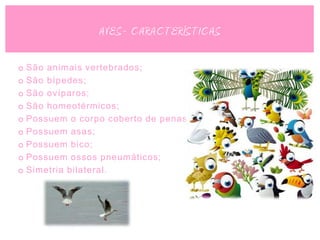 AVES- CARACTERÍSTICAS

o São animais vertebrados;
o São bípedes;
o São ovíparos;
o São homeotérmicos;
o Possuem o corpo coberto de penas;
o Possuem asas;
o Possuem bico;
o Possuem ossos pneumáticos;
o Simetria bilateral.
 