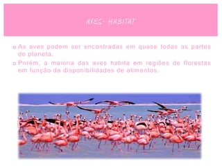 AVES- HABITAT

o As aves podem ser encontradas em quase todas as partes
  do planeta.
o Porém, a maioria das aves habita em regiões de florestas
  em função da disponibilidades de alimentos.
 