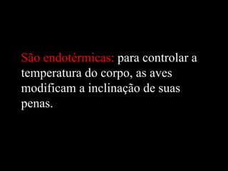 São endotérmicas: para controlar a
temperatura do corpo, as aves
modificam a inclinação de suas
penas.
 