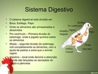 Sistema Digestivo
•   O sistema digestível está dividido em
•   Boca, Esófago, Papo
•   Onde os alimentos são armazenados e 
    dissolvidos
•   Pro ventrículo – Primeira divisão do 
    estomago. onde é jogado química sobre 
    os alimentos
•   Moela – segunda divisão do estômago, 
    mói completamente os alimentos, com a 
    ajuda de pedras e areia que o animal 
    ingere
•   Intestino – local onde decorre a absorção 
    e onde são lançadas as secreções do 
    fígado e pâncreas
 