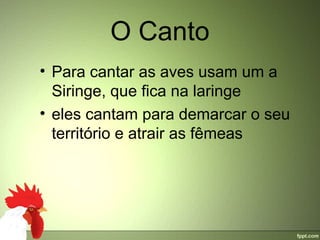 O Canto
• Para cantar as aves usam um a 
  Siringe, que fica na laringe
• eles cantam para demarcar o seu 
  território e atrair as fêmeas
 