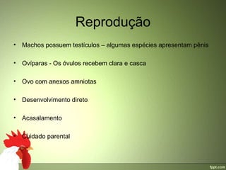 Reprodução
•   Machos possuem testículos – algumas espécies apresentam pênis

•   Ovíparas - Os óvulos recebem clara e casca

•   Ovo com anexos amniotas

•   Desenvolvimento direto 

•   Acasalamento

•   Cuidado parental
 