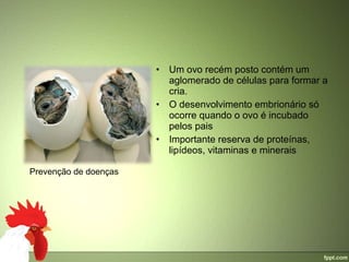 •   Um ovo recém posto contém um 
                           aglomerado de células para formar a 
                           cria. 
                       •   O desenvolvimento embrionário só 
                           ocorre quando o ovo é incubado 
                           pelos pais
                       •   Importante reserva de proteínas, 
                           lipídeos, vitaminas e minerais

Prevenção de doenças
 