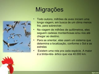 Migrações
• Todo outono, milhões de aves iniciam uma 
  longa viagem, em busca de um clima menos 
  frio, para sobreviver.
• Na viagem de milhões de quilômetros, eles 
  seguem cadeias montanhosas e/ou rios até 
  chegar ao destino.
• Para se orientar, elas usam um sistema que 
  determina a localização, conforme o Sol e as 
  estrelas
•  Existem uma rota pra cada espécie. A maior 
  é a trinta-réis- ártico que voa 40.000 km.
 