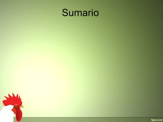 Sumario
 