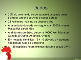 Dados
• 20% do volume do corpo da ave é ocupado pelos 
  pulmões Ordens de Aves e sacos aéreos
• 22 kg limites máximo de peso pra voo
• A tarambola-dourada consegue voar 3000 km sem 
  Passarifor parar! Mês
• A trinta-réis-do-ártico percorre 40000 km. Migra do 
  Canadá a Outras Antártica. Ordens
• Em notação cientifica: 16 x 10 elevado a 4 pombos 
  habitam as ruas de Barcelona
•     129 espécies foram extintas desde o século XVIII
 