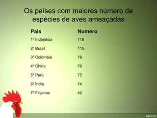 Os países com maiores número de 
  espécies de aves ameaçadas
 Pais            Numero
 1º Indonésia    118

 2º Brasil       115

 3º Colômbia     78

 4º China        76

 5º Peru         75

 6º Índia        74

 7º Filipinas    42
 