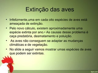  Extinção das aves
• Infelizmente,uma em cada oito espécies de aves está 
  ameaçada de extinção.
• Pelo novo cálculo, existem aproximadamente uma 
  espécie extinta por ano.• As causas desse problema é 
  caça predatória, desmatamento e poluição.
•  As aves não conseguem se adaptar as mudanças 
  climáticas e de vegetação.
• No slide a seguir vamos mostrar umas espécies de aves 
  que podem ser extintas.
 