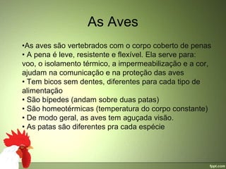 As Aves
    •As aves são vertebrados com o corpo coberto de penas
    • A pena é leve, resistente e flexível. Ela serve para: 
    voo, o isolamento térmico, a impermeabilização e a cor, 
    ajudam na comunicação e na proteção das aves
    • Tem bicos sem dentes, diferentes para cada tipo de 
    alimentação
    • São bípedes (andam sobre duas patas)
    • São homeotérmicas (temperatura do corpo constante)
    • De modo geral, as aves tem aguçada visão.
    • As patas são diferentes pra cada espécie
 