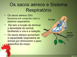 Os sacos aéreos e Sistema 
           Respiratório
• Os sacos aéreos (SA) 
  funciona em conjunto com o 
  sistema respiratório
•  Ele tem a função de diminuir 
  a densidade do animal, 
  facilitando o voo e a natação.
• Os sacos aéreos aumentam 
  a capacidade respiratória do 
  animal por diminuírem o peso 
  específico do corpo.
 