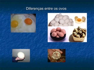 Diferenças entre os ovos
 