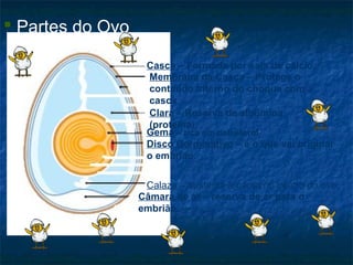  Partes do Ovo

                   Casca – Formada por sais de cálcio.
                   Membrana da Casca – Protege o
                   conteúdo interno do choque com a
                   casca.
                   Clara – Reserva de albumina
                   (proteína).
                   Gema – rica em colesterol
                   Disco Germinativo – é o que vai originar
                   o embrião.


                   Calaza – sustenta a gema no centro do ovo.
                  Câmara de ar – reserva de ar para o
                  embrião.
 