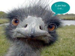 É, por hoje
   é só...
 