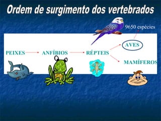 9650 espécies


                              AVES
PEIXES   ANFÍBIOS   RÉPTEIS
                              MAMÍFEROS
 