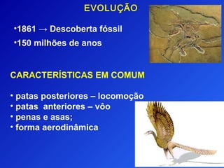EVOLUÇÃO

•1861 → Descoberta fóssil
•150 milhões de anos


CARACTERÍSTICAS EM COMUM

• patas posteriores – locomoção
• patas anteriores – vôo
• penas e asas;
• forma aerodinâmica
 