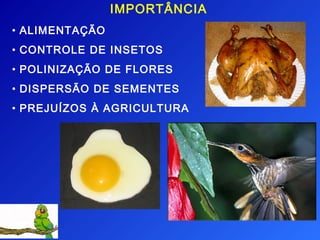 IMPORTÂNCIA
• ALIMENTAÇÃO
• CONTROLE DE INSETOS
• POLINIZAÇÃO DE FLORES
• DISPERSÃO DE SEMENTES
• PREJUÍZOS À AGRICULTURA
 