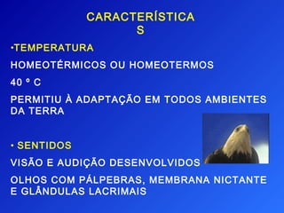 CARACTERÍSTICA
                   S
•TEMPERATURA
HOMEOTÉRMICOS OU HOMEOTERMOS
40 º C
PERMITIU À ADAPTAÇÃO EM TODOS AMBIENTES
DA TERRA


• SENTIDOS
VISÃO E AUDIÇÃO DESENVOLVIDOS
OLHOS COM PÁLPEBRAS, MEMBRANA NICTANTE
E GLÂNDULAS LACRIMAIS
 