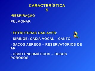 CARACTERÍSTICA
               S
•RESPIRAÇÃO
PULMONAR


• ESTRUTURAS DAS AVES:
- SIRINGE: CAIXA VOCAL – CANTO
- SACOS AÉREOS – RESERVATÓRIOS DE
AR
- OSSO PNEUMÁTICOS – OSSOS
POROSOS
 