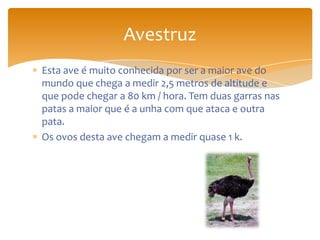 Esta ave é muito conhecida por ser a maior ave do
mundo que chega a medir 2,5 metros de altitude e
que pode chegar a 80 km / hora. Tem duas garras nas
patas a maior que é a unha com que ataca e outra
pata.
Os ovos desta ave chegam a medir quase 1 k.
Avestruz
 