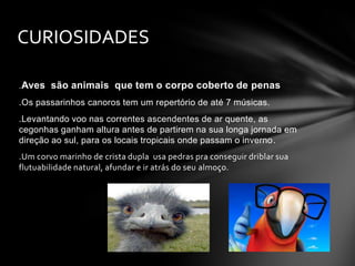 CURIOSIDADES
.Aves são animais que tem o corpo coberto de penas
.Os passarinhos canoros tem um repertório de até 7 músicas.
.Levantando voo nas correntes ascendentes de ar quente, as
cegonhas ganham altura antes de partirem na sua longa jornada em
direção ao sul, para os locais tropicais onde passam o inverno.
.Um corvo marinho de crista dupla usa pedras pra conseguir driblar sua
flutuabilidade natural, afundar e ir atrás do seu almoço.

 