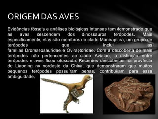 ORIGEM DAS AVES
Evidências fósseis e análises biológicas intensas tem demonstrado que
as
aves
descendem
dos
dinossauros
terópodes.
Mais
especificamente, elas são membros do clado Maniraptora, um grupo de
terópodes
que
inclui
as
famílias Dromaeosauridae e Oviraptoridae. Com a descoberta de mais
terópodes não pertencentes ao clado Avialae, a distinção entre
terópodes e aves ficou ofuscada. Recentes descobertas na província
de Liaoning no nordeste da China, que demonstraram que muitos
pequenos terópodes possuíram penas, contribuíram para essa
ambiguidade.

 