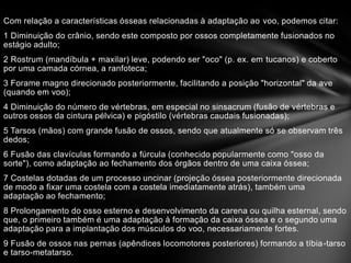 Com relação a características ósseas relacionadas à adaptação ao voo, podemos citar:

1 Diminuição do crânio, sendo este composto por ossos completamente fusionados no
estágio adulto;
2 Rostrum (mandíbula + maxilar) leve, podendo ser "oco" (p. ex. em tucanos) e coberto
por uma camada córnea, a ranfoteca;
3 Forame magno direcionado posteriormente, facilitando a posição "horizontal" da ave
(quando em voo);
4 Diminuição do número de vértebras, em especial no sinsacrum (fusão de vértebras e
outros ossos da cintura pélvica) e pigóstilo (vértebras caudais fusionadas);
5 Tarsos (mãos) com grande fusão de ossos, sendo que atualmente só se observam três
dedos;

6 Fusão das clavículas formando a fúrcula (conhecido popularmente como "osso da
sorte"), como adaptação ao fechamento dos órgãos dentro de uma caixa óssea;
7 Costelas dotadas de um processo uncinar (projeção óssea posteriormente direcionada
de modo a fixar uma costela com a costela imediatamente atrás), também uma
adaptação ao fechamento;

8 Prolongamento do osso esterno e desenvolvimento da carena ou quilha esternal, sendo
que, o primeiro também é uma adaptação à formação da caixa óssea e o segundo uma
adaptação para a implantação dos músculos do voo, necessariamente fortes.
9 Fusão de ossos nas pernas (apêndices locomotores posteriores) formando a tíbia -tarso
e tarso-metatarso.

 