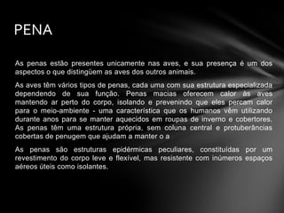 PENA
As penas estão presentes unicamente nas aves, e sua presença é um dos
aspectos o que distingüem as aves dos outros animais.
As aves têm vários tipos de penas, cada uma com sua estrutura especializada
dependendo de sua função. Penas macias oferecem calor às aves
mantendo ar perto do corpo, isolando e prevenindo que eles percam calor
para o meio-ambiente - uma característica que os humanos vêm utilizando
durante anos para se manter aquecidos em roupas de inverno e cobertores.
As penas têm uma estrutura própria, sem coluna central e protuberâncias
cobertas de penugem que ajudam a manter o a
As penas são estruturas epidérmicas peculiares, constituídas por um
revestimento do corpo leve e flexível, mas resistente com inúmeros espaços
aéreos úteis como isolantes.

 